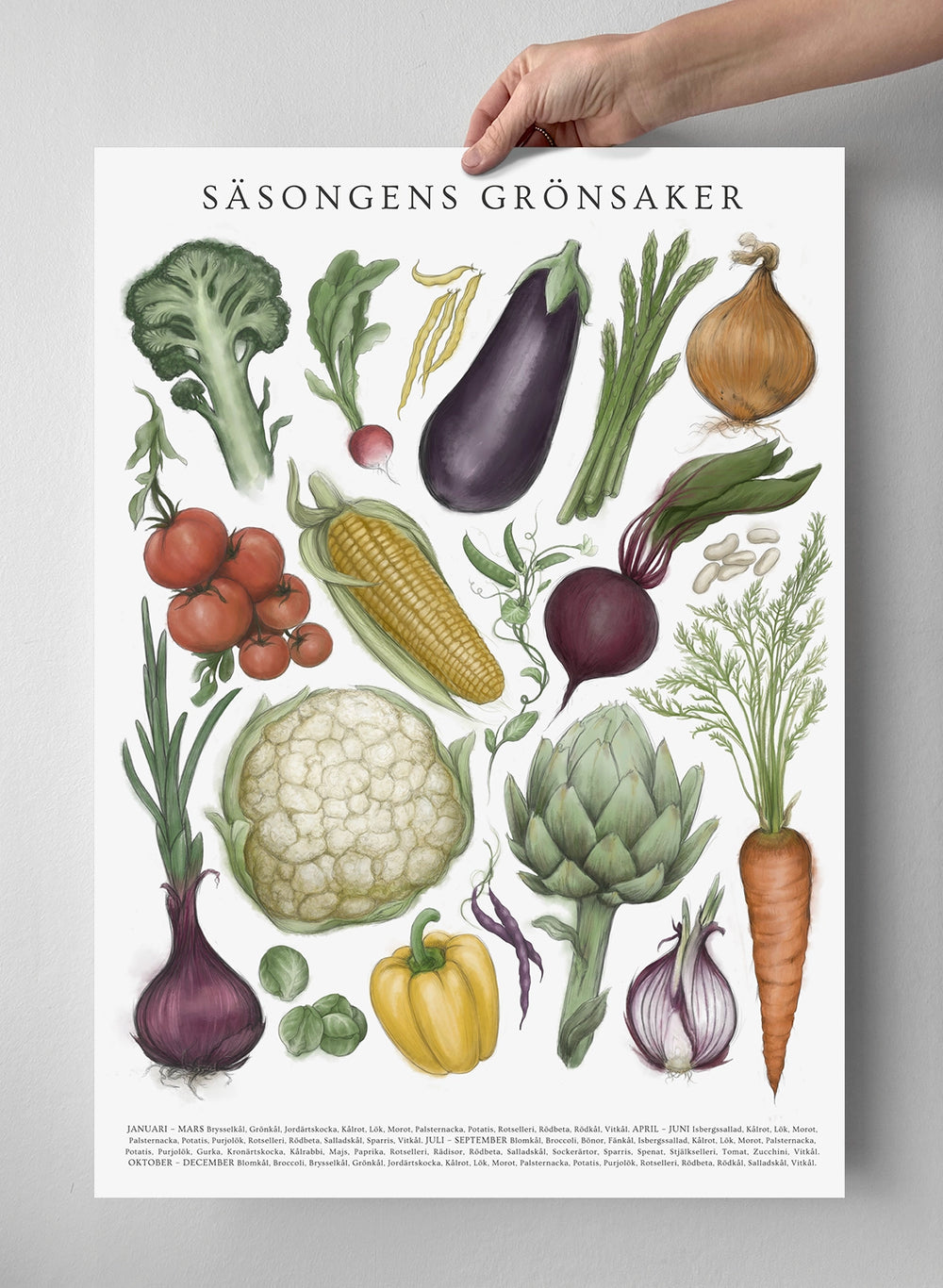 Sesongens grønnsaker