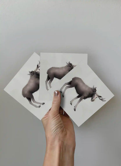The Moose, 3-pack