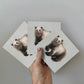 Greeting Card 3-pack - The Bear