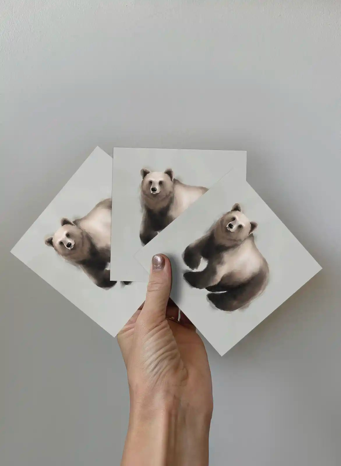 The Bear, 3-pack