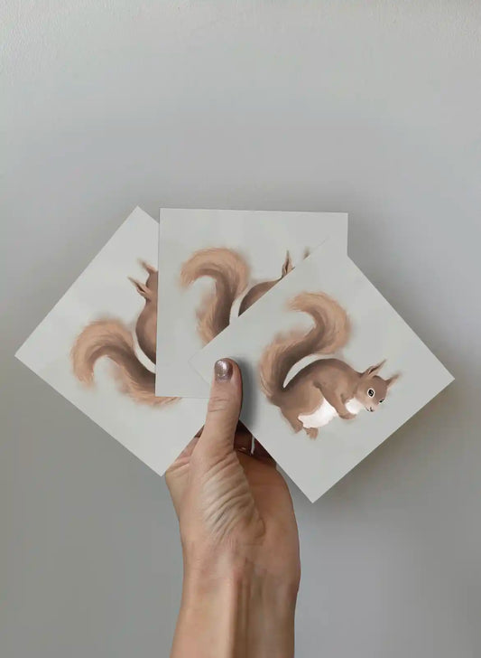 Greeting Card 3-pack - The Squirrel