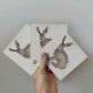 Greeting Card 3-pack - The Hare