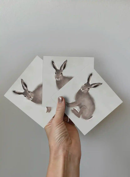 The Hare, 3-pack