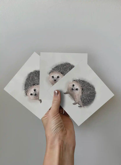 The Hedgehog, 3-pack
