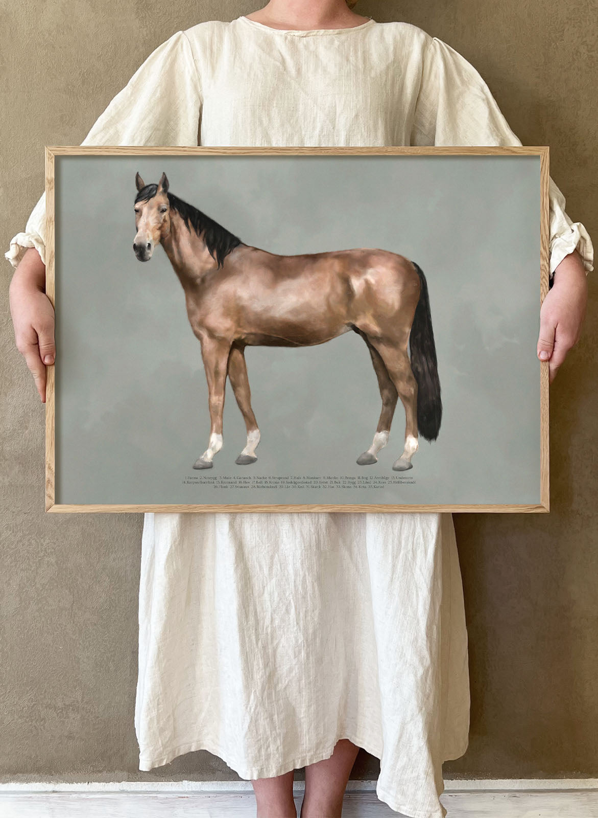 The Anatomy of the Horse - in Swedish
