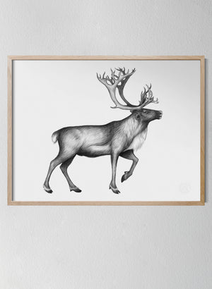 Classic Oak Frame