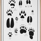 Svenska djurspår - Swedish Animal Tracks in Swedish