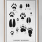 Svenska djurspår - Swedish Animal Tracks in Swedish