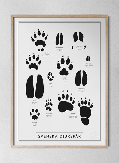 Svenska djurspår - Swedish Animal Tracks in Swedish
