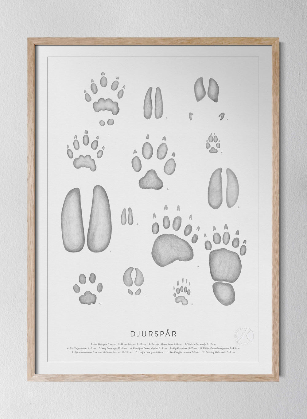 Djurspår - Animal Tracks in Swedish