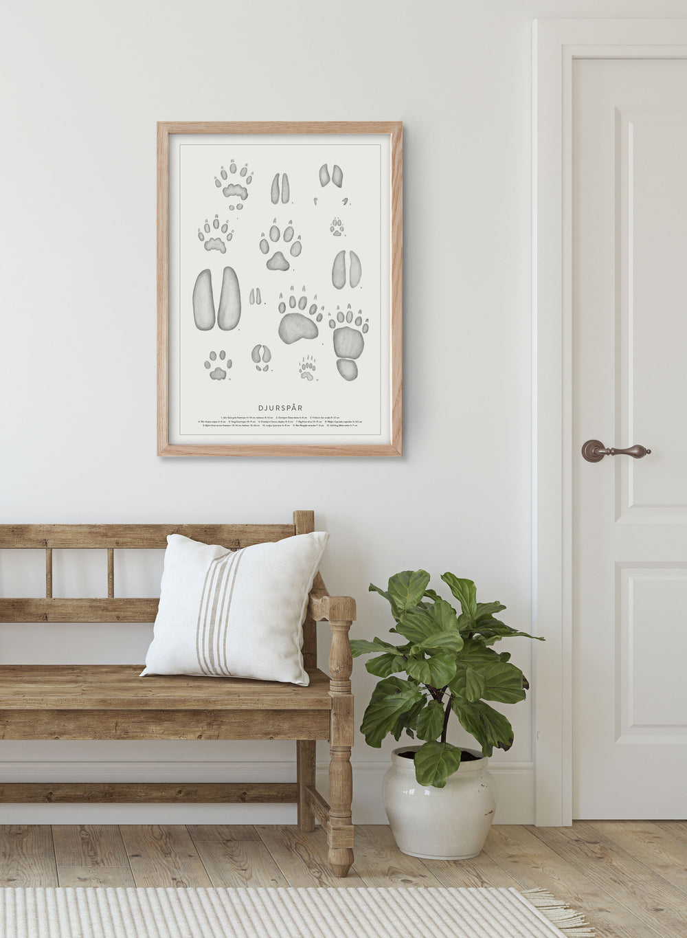 Djurspår - Animal Tracks in Swedish