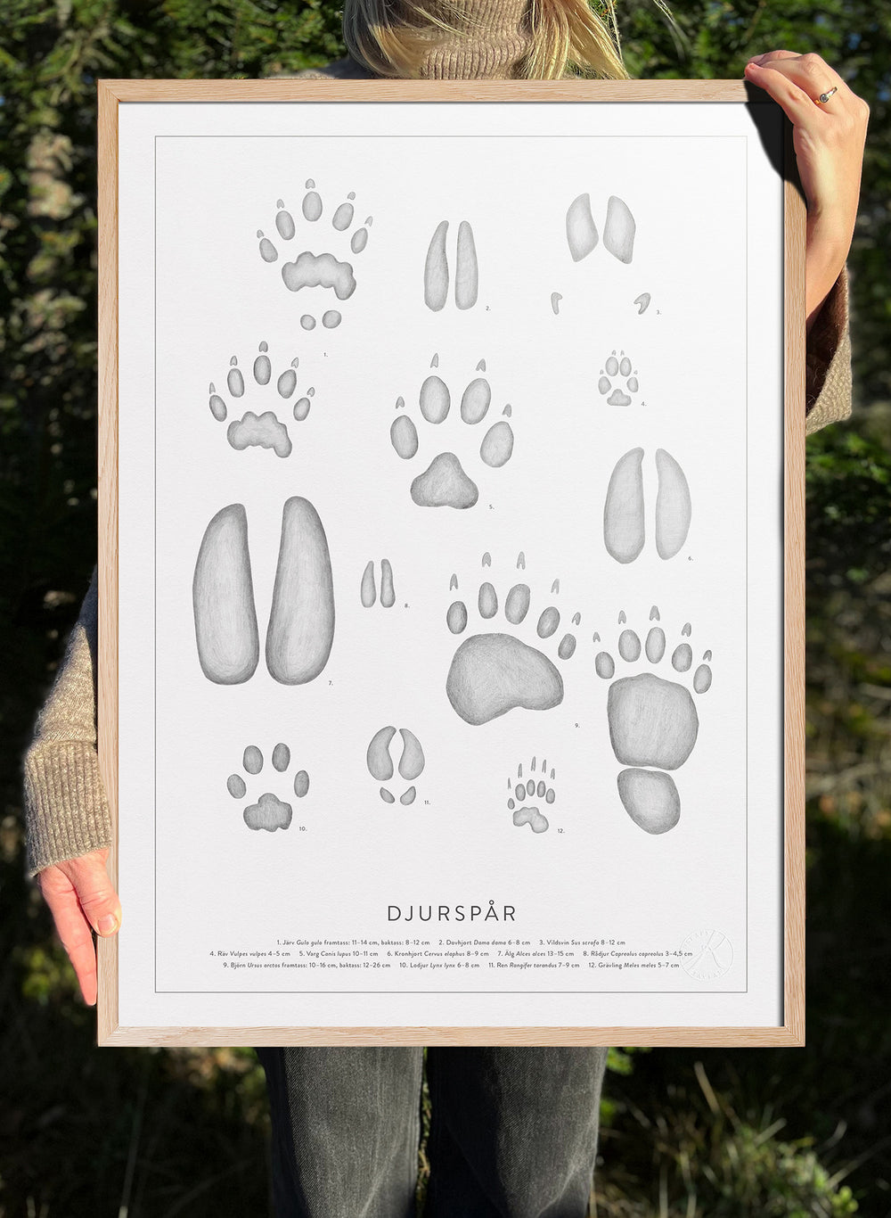 Djurspår - Animal Tracks in Swedish