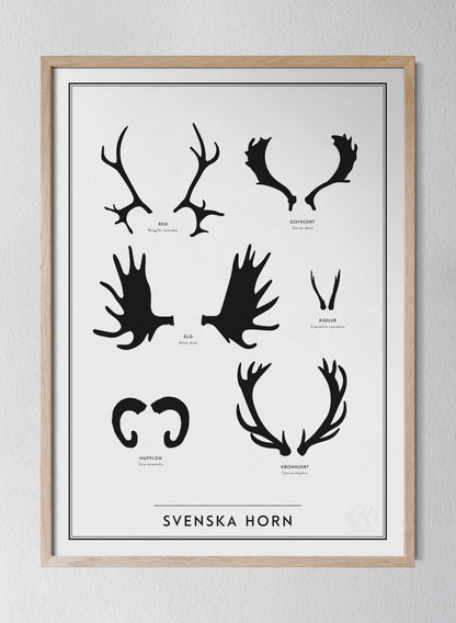 Svenska horn - Swedish Antlers and Horns in Swedish