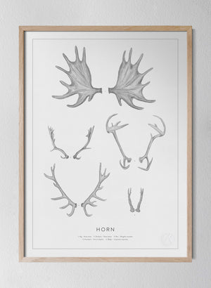 Classic Oak Frame