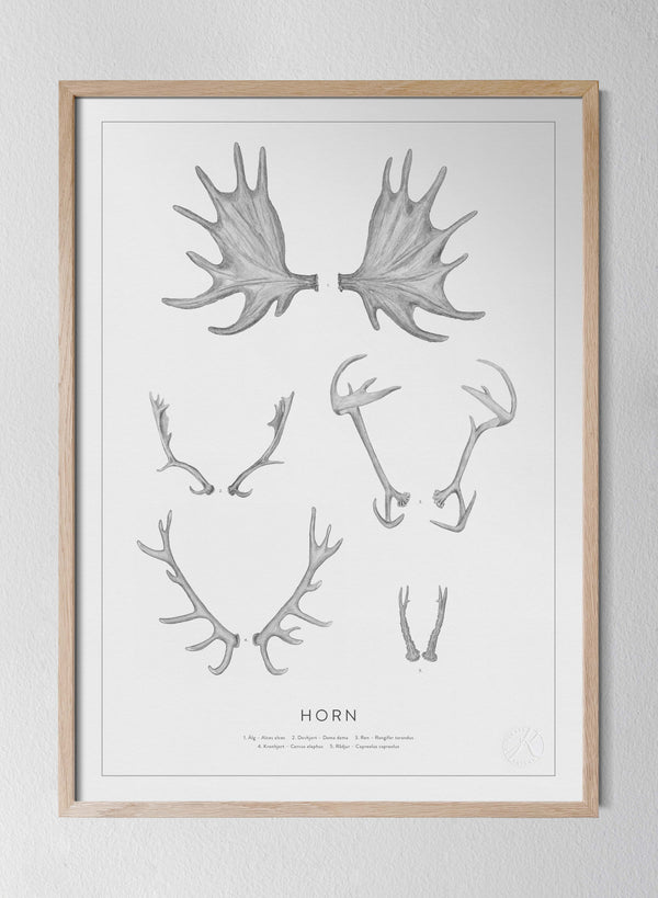 Classic Oak Frame