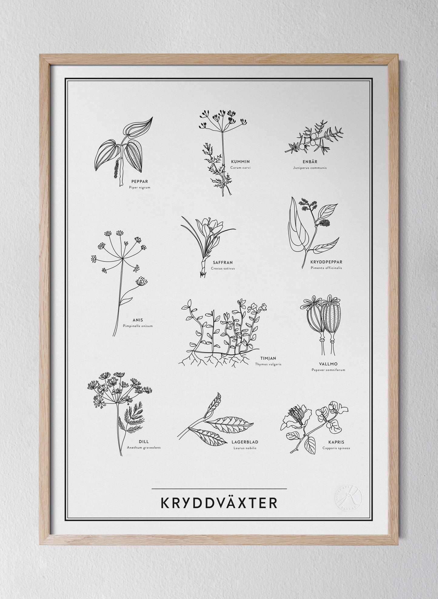 Kryddväxter - Herbs in Swedish