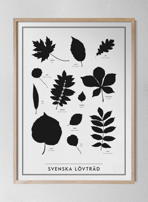 Classic Oak Frame