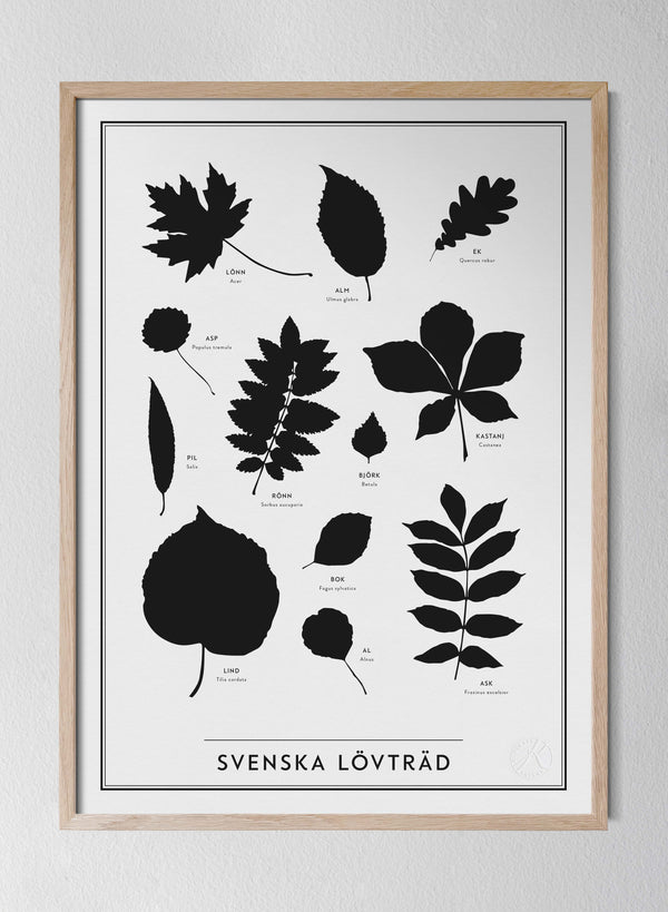 Classic Oak Frame