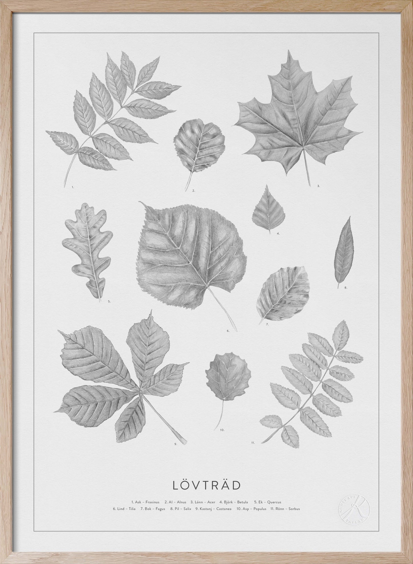 Lövträd - Leaves in Swedish