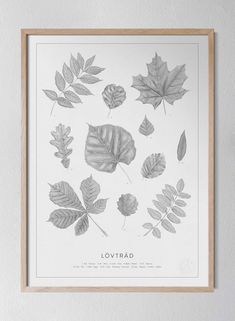 Classic Oak Frame