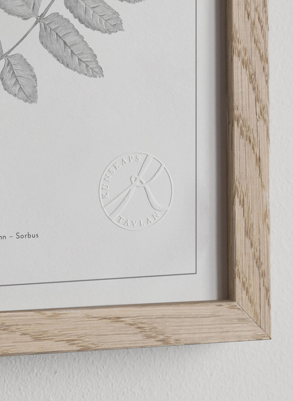Classic Oak Frame
