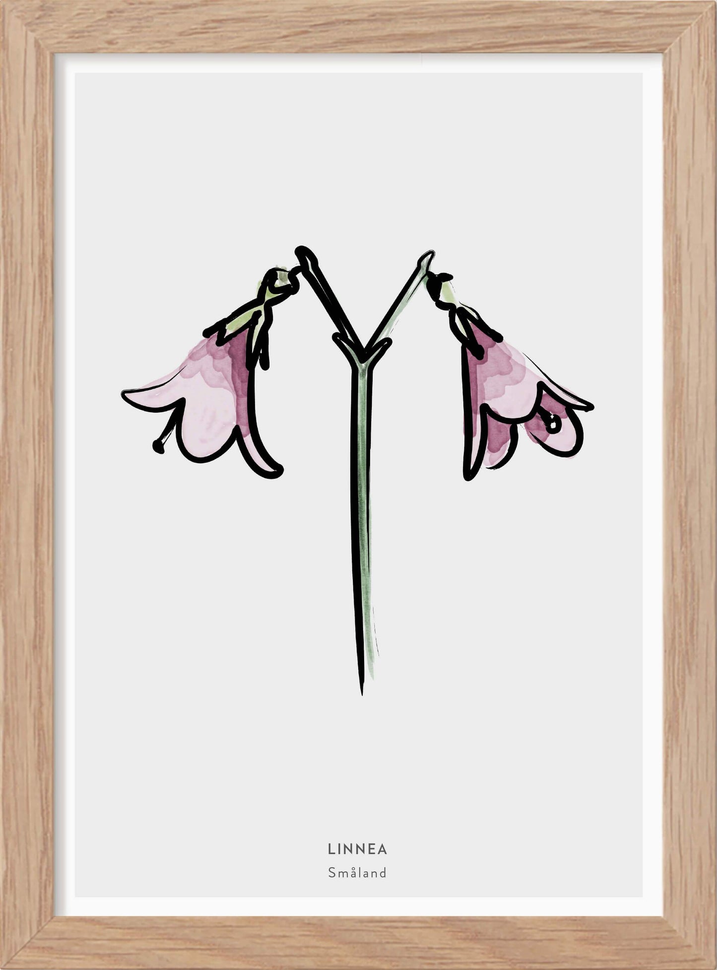 Landskapsblomma Linnea - Småland - Mini print A5 - Kunskapstavlan