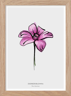 The Province Flower of Norrbotten "Åkerbärsblomma" - In Swedish - Mini print