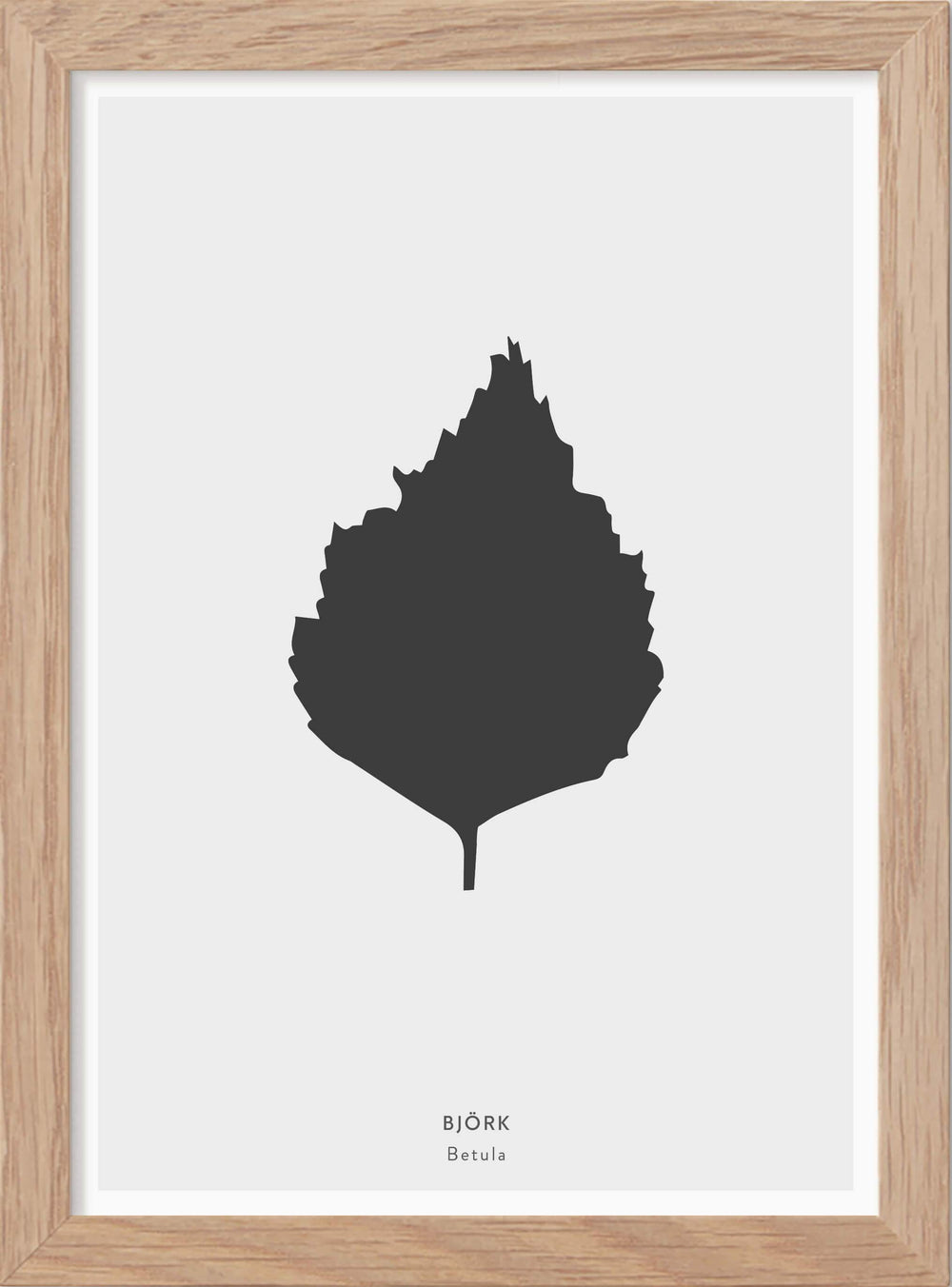 Björklöv - Mini print A5 - Kunskapstavlan
