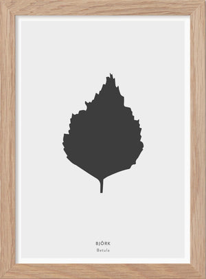 Björklöv - Mini print A5 - Kunskapstavlan