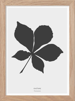 Kastanjelöv - Mini print A5 - Kunskapstavlan